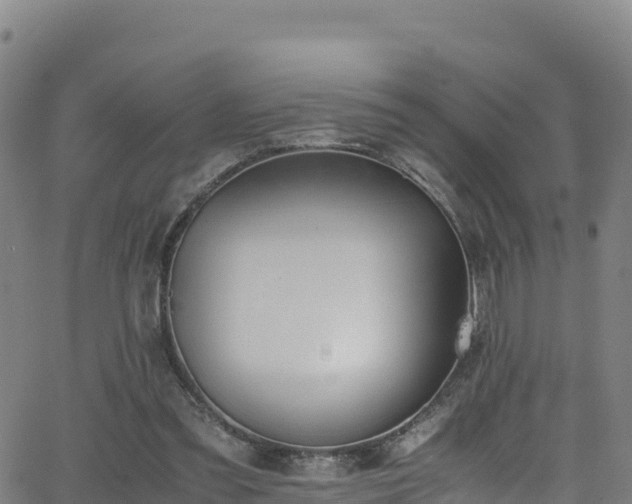 X0000062930301200601181316