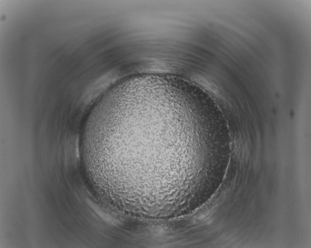 X0000062930302200601181316