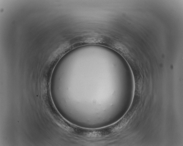 X0000062930303200601181316