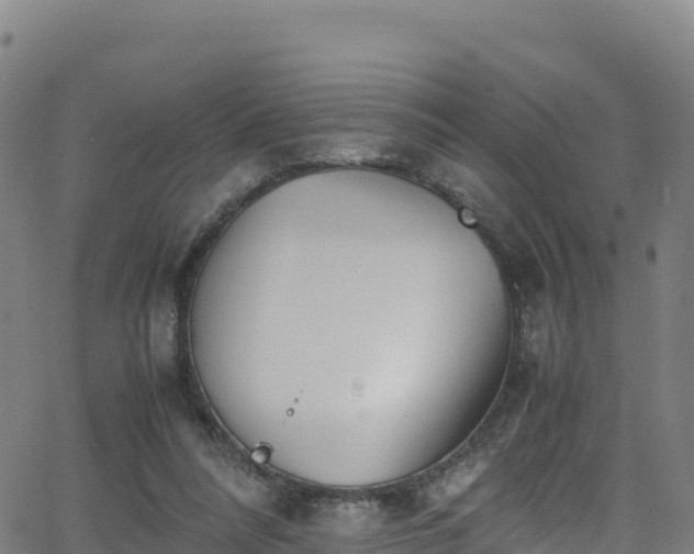 X0000062930304200601181316