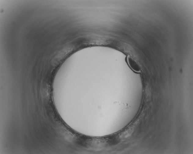 X0000062930305200601181316