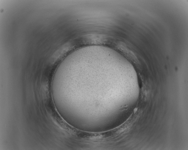 X0000062930306200601181316