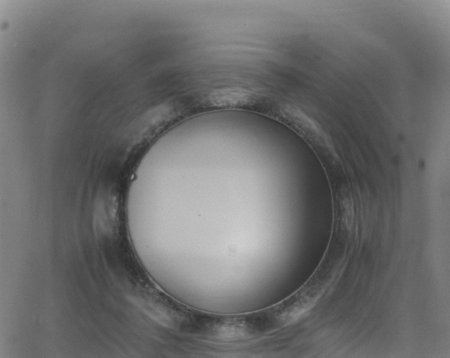 X0000062930308200601181316