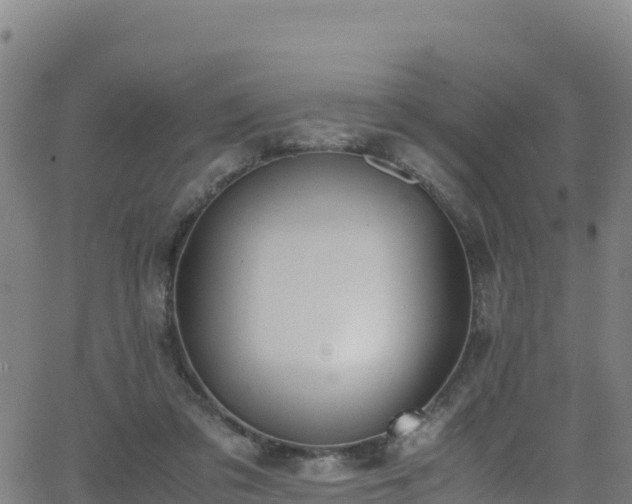 X0000062930309200601181316