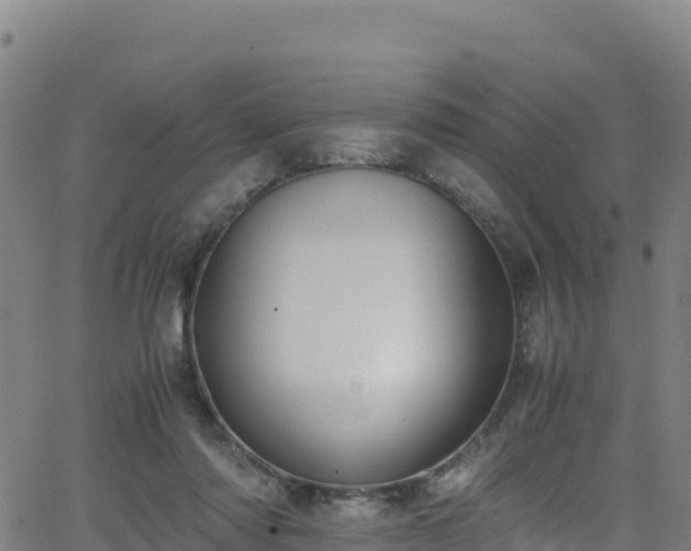 X0000062930310200601181316