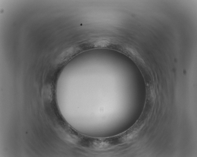 X0000062930311200601181316