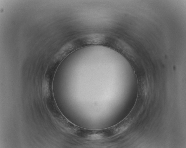 X0000062930312200601181316