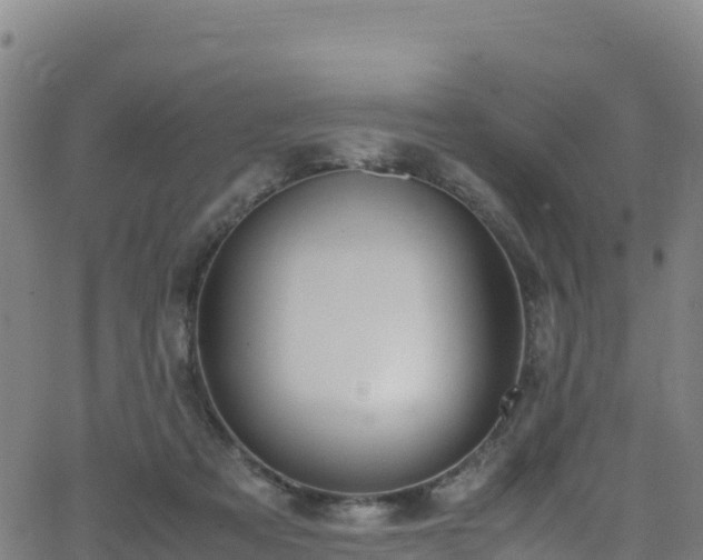 X0000062930313200601181316