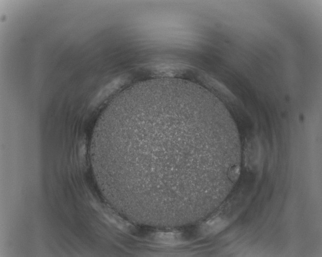 X0000062930314200601181316