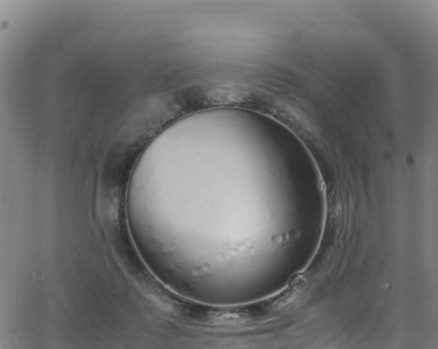 X0000062930315200601181316