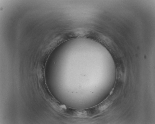 X0000062930317200601181316