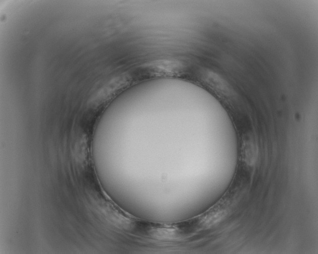 X0000062930318200601181316