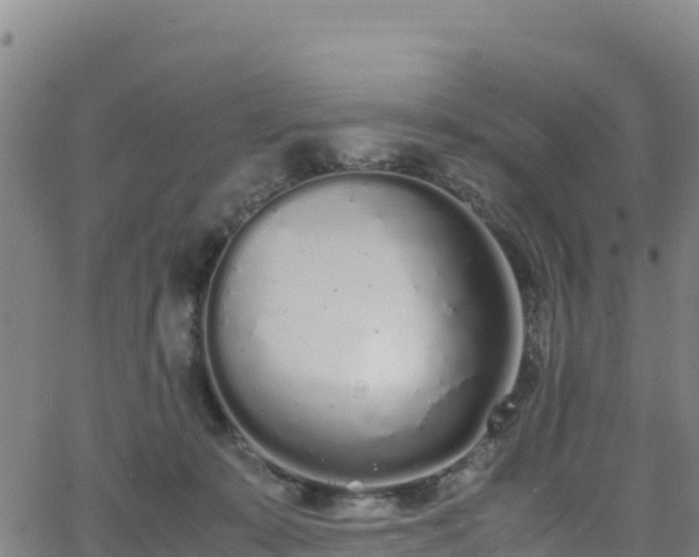 X0000062930319200601181316