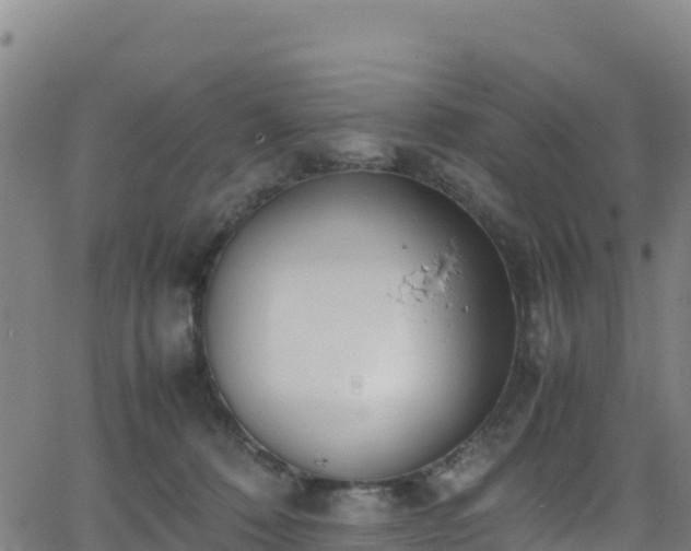 X0000062930320200601181316