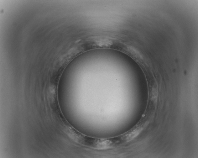 X0000062930321200601181316