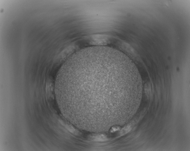 X0000062930322200601181316