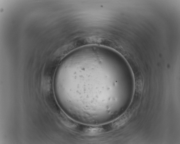 X0000062930323200601181316