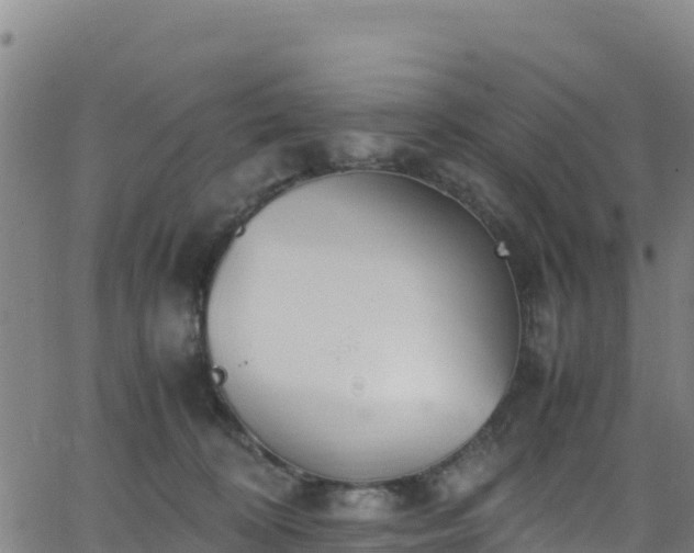 X0000062930324200601181316