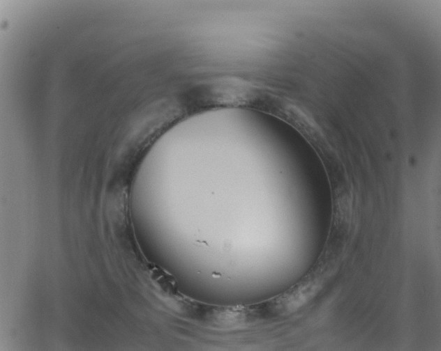 X0000062930325200601181316