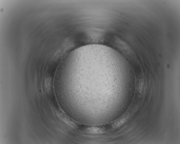 X0000062930326200601181316