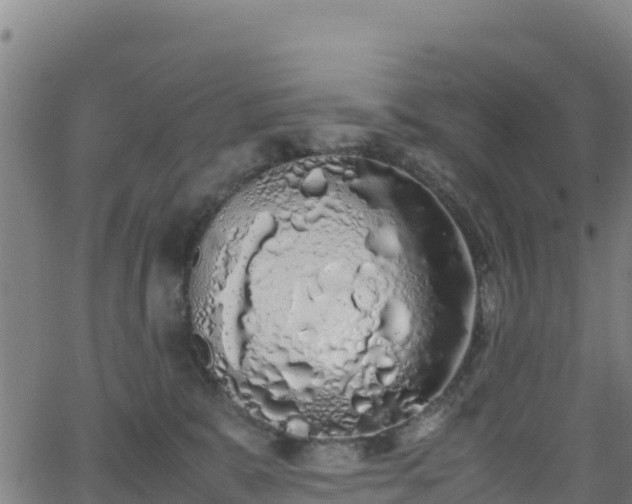 X0000062930327200601181316