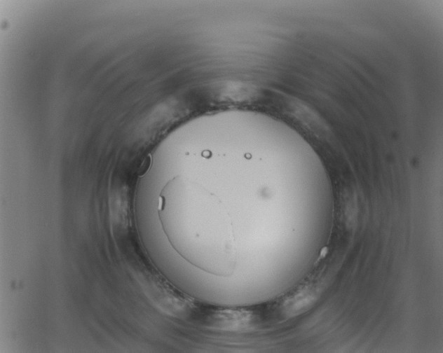 X0000062930328200601181316