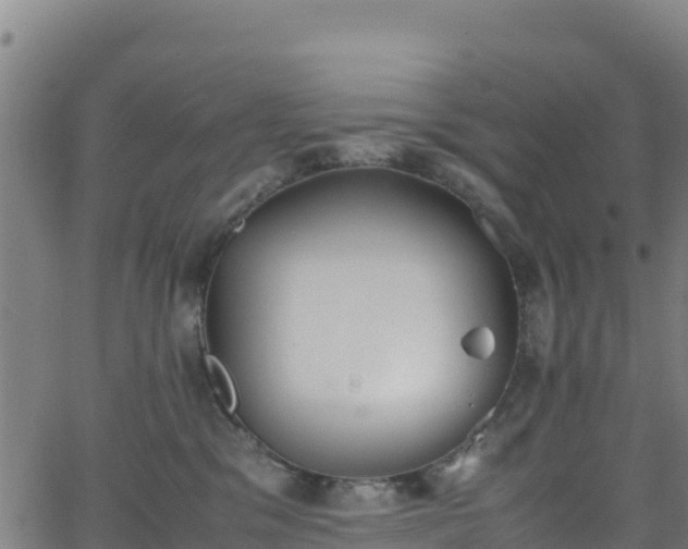 X0000062930329200601181316