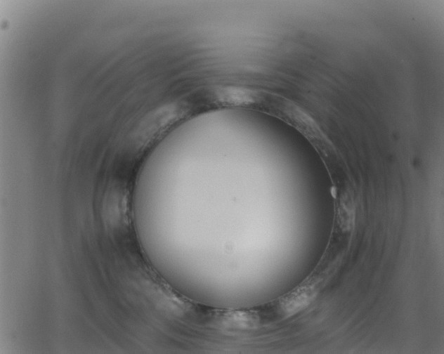 X0000062930330200601181316