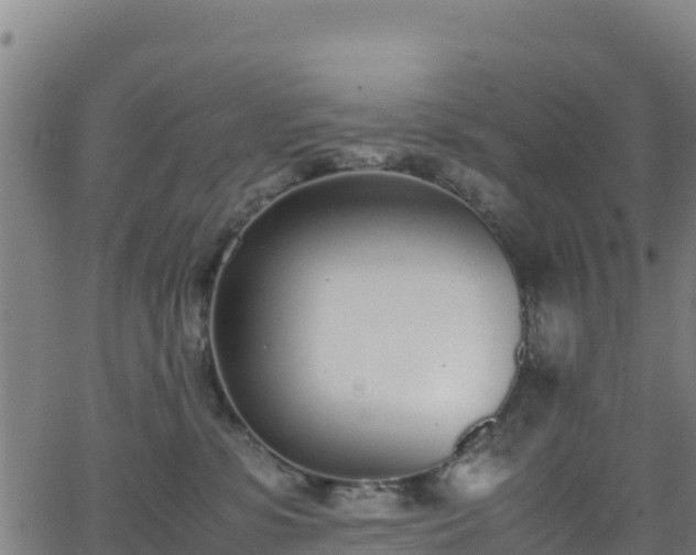 X0000062930331200601181316