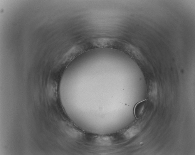 X0000062930332200601181316