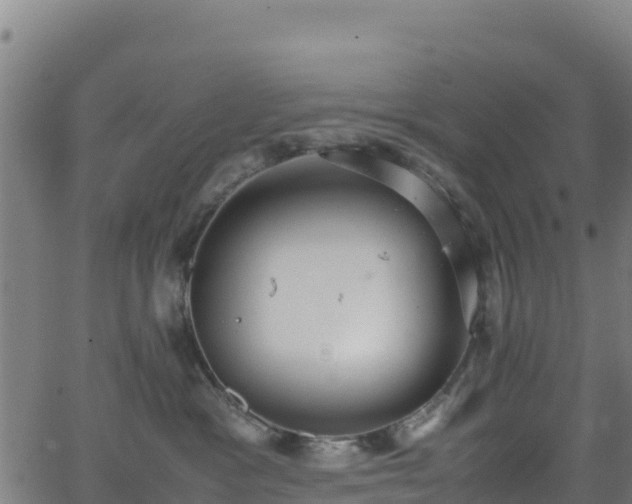 X0000062930333200601181316