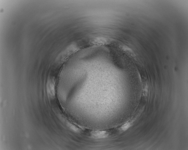 X0000062930334200601181316