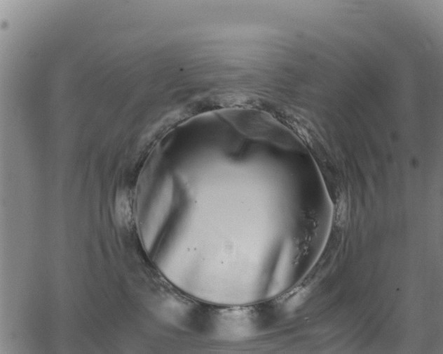 X0000062930335200601181316