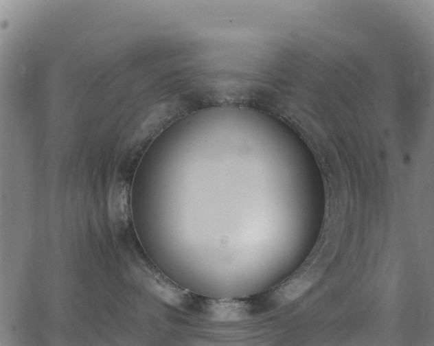 X0000062930336200601181316