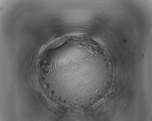 X0000062930337200601181315