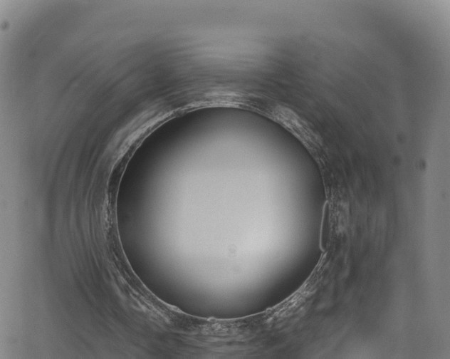 X0000062930338200601181315