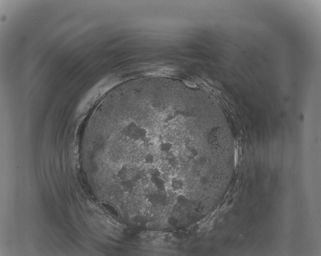 X0000062930339200601181315