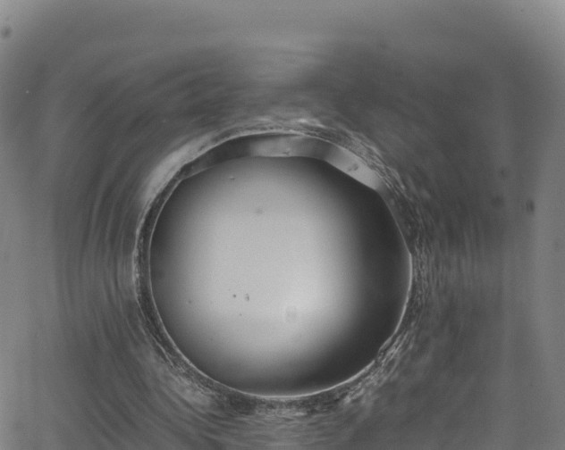 X0000062930340200601181315