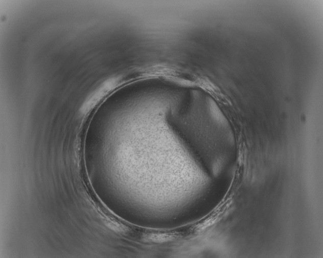 X0000062930341200601181315