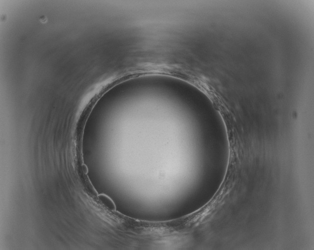 X0000062930342200601181315