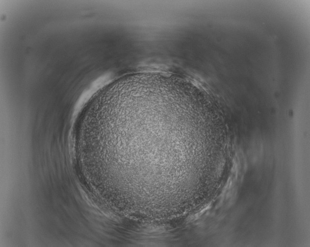 X0000062930343200601181315