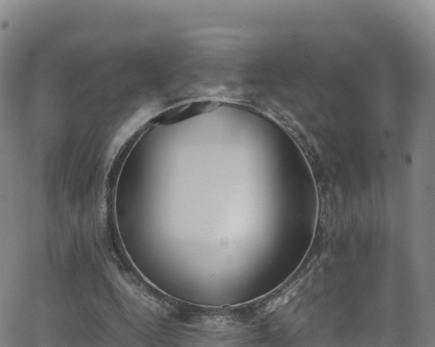 X0000062930344200601181315