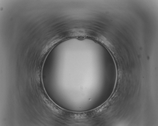 X0000062930345200601181315