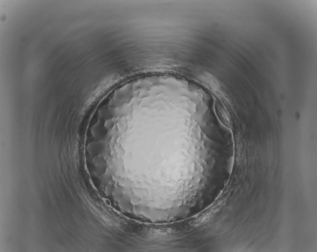 X0000062930346200601181315