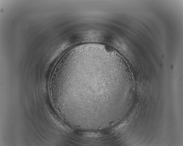 X0000062930347200601181315