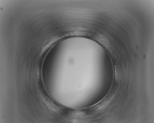 X0000062930348200601181315