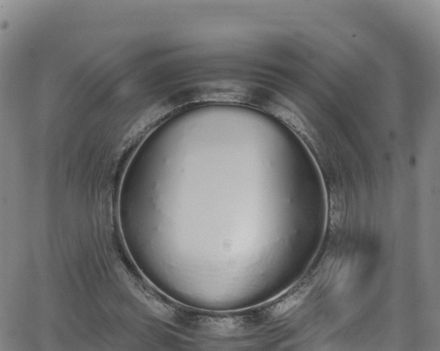 X0000062930349200601181315