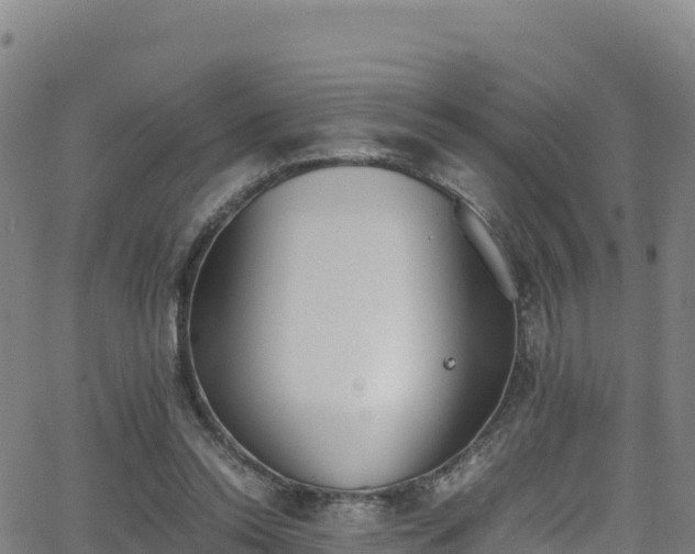 X0000062930350200601181315