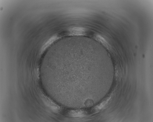 X0000062930351200601181315