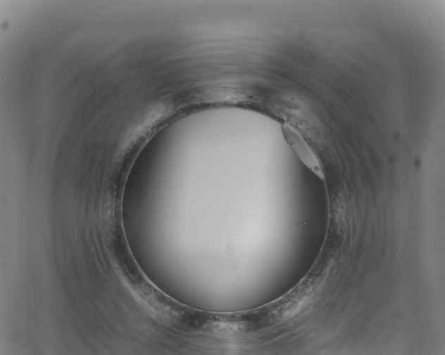 X0000062930352200601181315